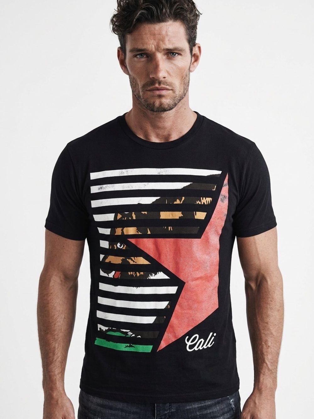 POPULAR POISON | Black Distressed Cali Graphic Tee Men’s Size Medium